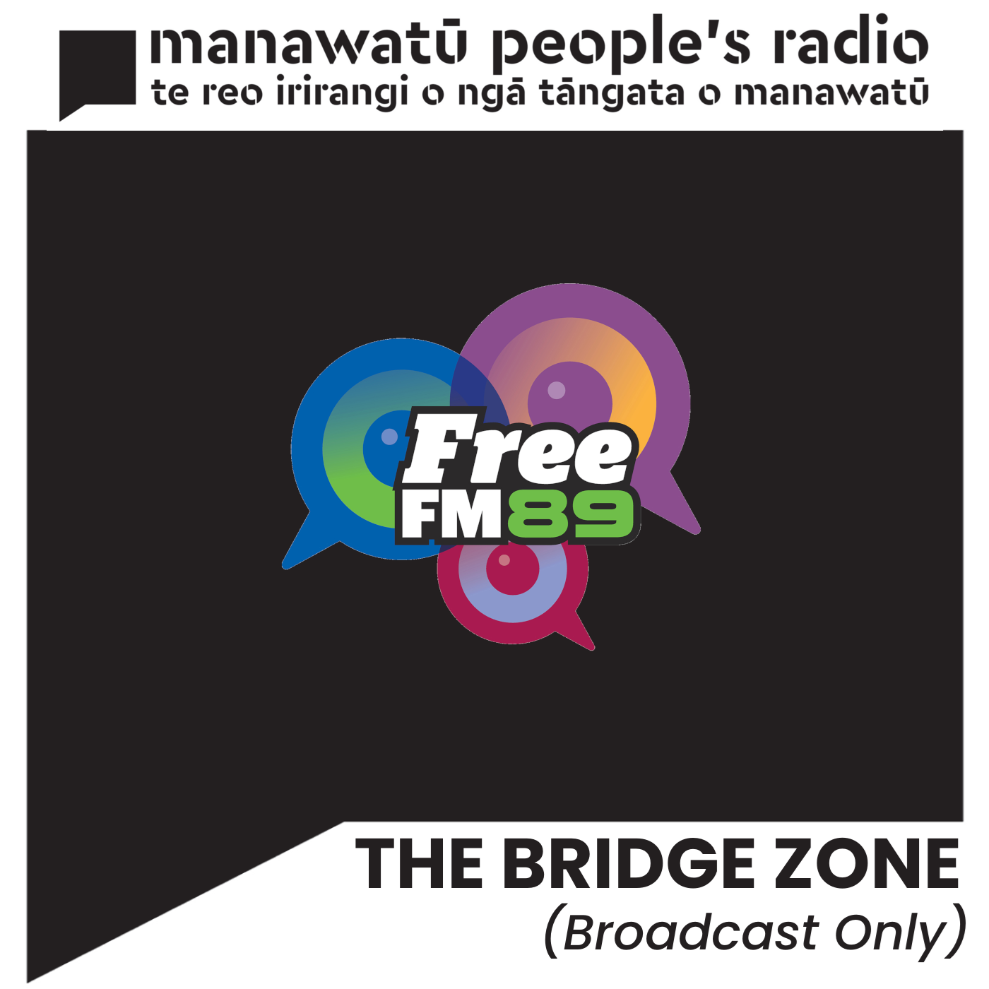 The Bridge Zone