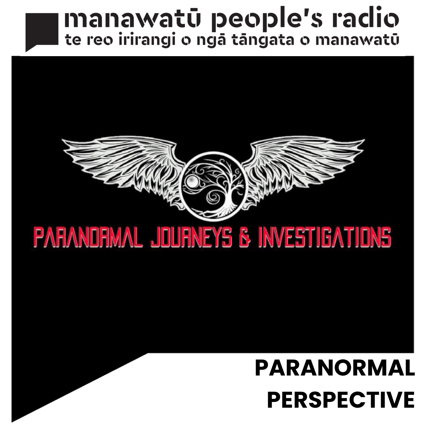 Paranormal Perspective